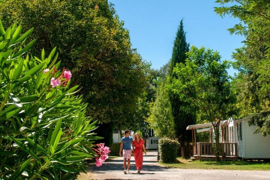 Mobil Home Tout Confort 6 Personnes Climatise Au Pied Du Luberon La Roque-d'Antheron Eksteriør billede